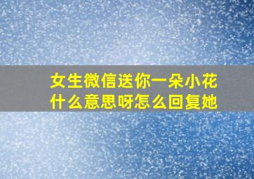 女生微信送你一朵小花什么意思呀怎么回复她