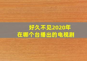 好久不见2020年在哪个台播出的电视剧