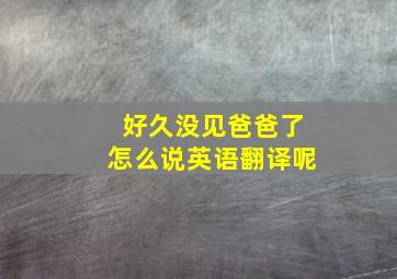 好久没见爸爸了怎么说英语翻译呢