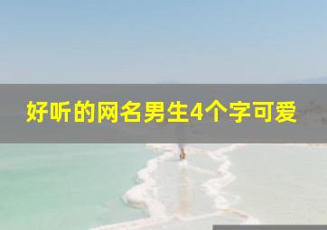 好听的网名男生4个字可爱