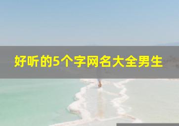 好听的5个字网名大全男生