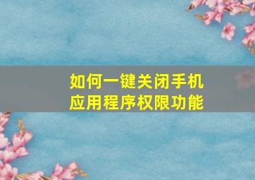 如何一键关闭手机应用程序权限功能