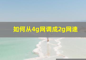 如何从4g网调成2g网速