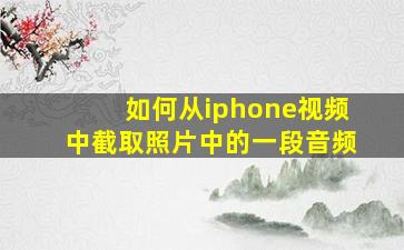 如何从iphone视频中截取照片中的一段音频