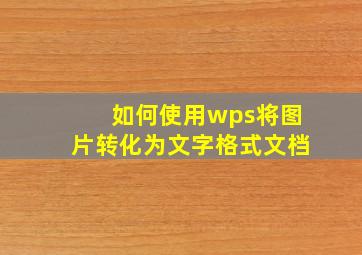 如何使用wps将图片转化为文字格式文档