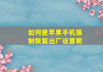 如何使苹果手机强制恢复出厂设置呢