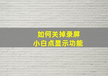 如何关掉录屏小白点显示功能