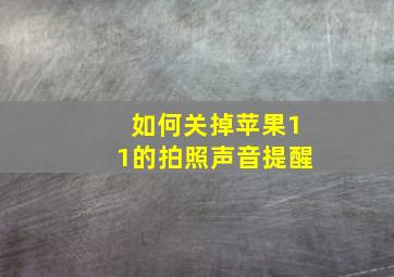 如何关掉苹果11的拍照声音提醒