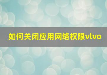 如何关闭应用网络权限vlvo