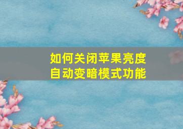 如何关闭苹果亮度自动变暗模式功能