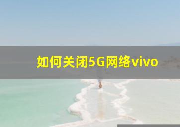 如何关闭5G网络vivo