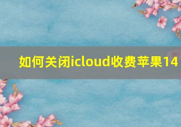 如何关闭icloud收费苹果14