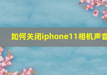 如何关闭iphone11相机声音