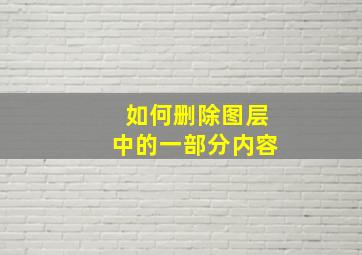 如何删除图层中的一部分内容