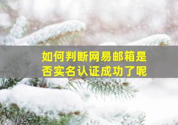 如何判断网易邮箱是否实名认证成功了呢