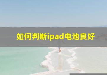 如何判断ipad电池良好