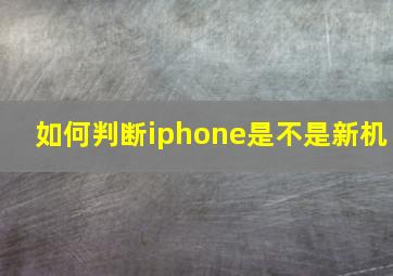 如何判断iphone是不是新机