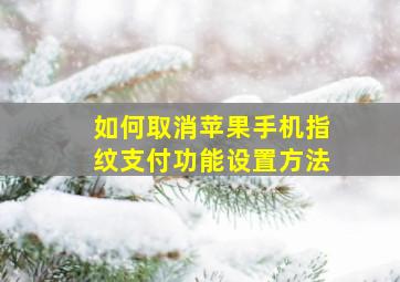 如何取消苹果手机指纹支付功能设置方法