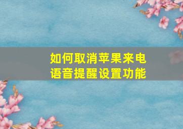 如何取消苹果来电语音提醒设置功能