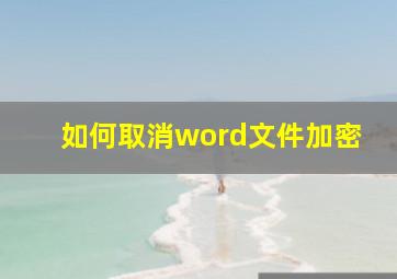 如何取消word文件加密