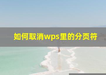 如何取消wps里的分页符