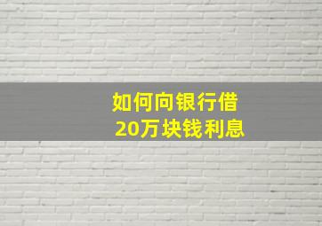 如何向银行借20万块钱利息