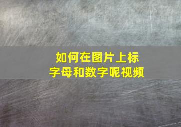 如何在图片上标字母和数字呢视频