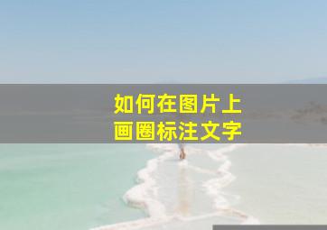 如何在图片上画圈标注文字