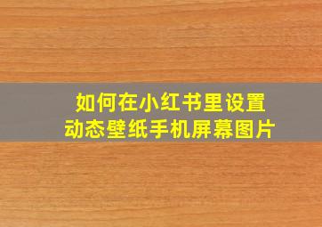 如何在小红书里设置动态壁纸手机屏幕图片