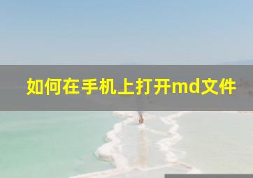 如何在手机上打开md文件