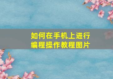 如何在手机上进行编程操作教程图片