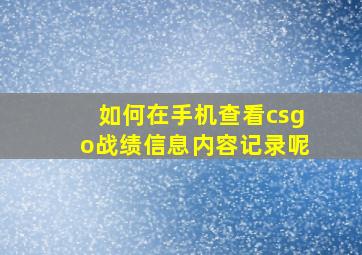 如何在手机查看csgo战绩信息内容记录呢