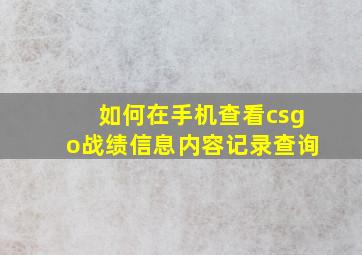 如何在手机查看csgo战绩信息内容记录查询