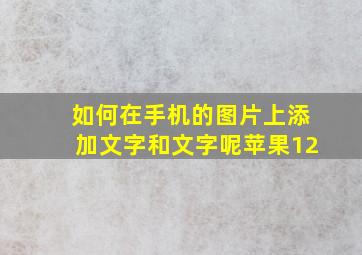 如何在手机的图片上添加文字和文字呢苹果12