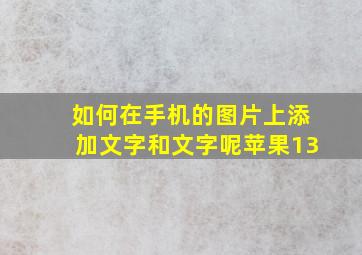 如何在手机的图片上添加文字和文字呢苹果13