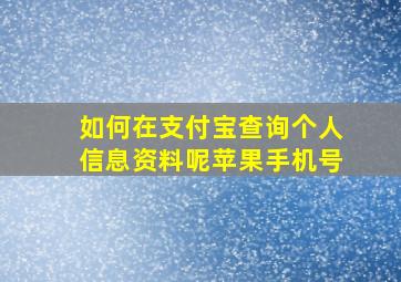 如何在支付宝查询个人信息资料呢苹果手机号