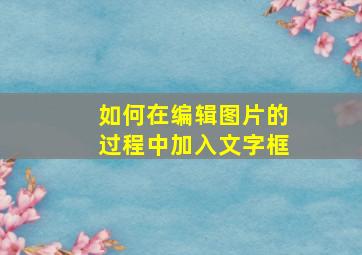 如何在编辑图片的过程中加入文字框