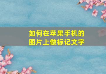 如何在苹果手机的图片上做标记文字