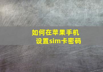 如何在苹果手机设置sim卡密码