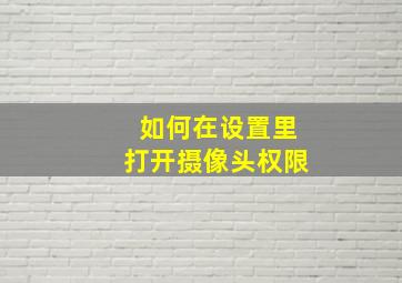 如何在设置里打开摄像头权限