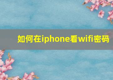 如何在iphone看wifi密码