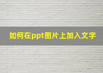 如何在ppt图片上加入文字