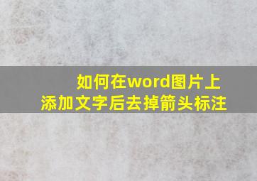 如何在word图片上添加文字后去掉箭头标注