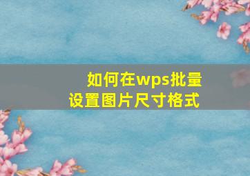 如何在wps批量设置图片尺寸格式