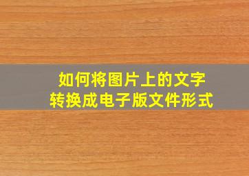 如何将图片上的文字转换成电子版文件形式