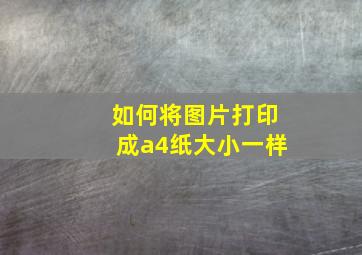 如何将图片打印成a4纸大小一样