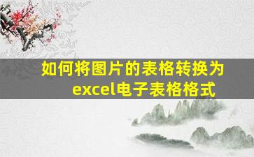 如何将图片的表格转换为excel电子表格格式