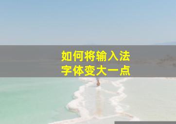 如何将输入法字体变大一点