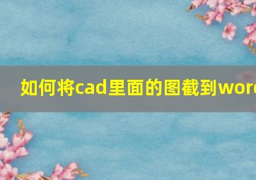 如何将cad里面的图截到word