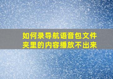 如何录导航语音包文件夹里的内容播放不出来